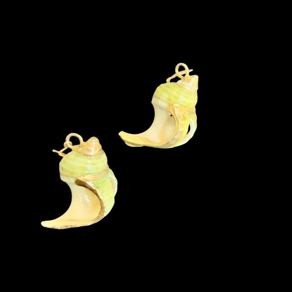 EXTRAORDINARY ~ HANDMADE ~ EXOSKELETON SHELL & GOLD TRIMMED ~ EARRINGS ~ 1" - Picture 2 of 11